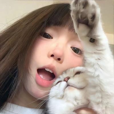 美人与流血事件