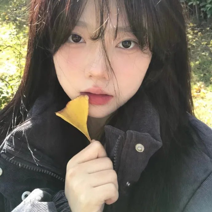 米佐的复仇
